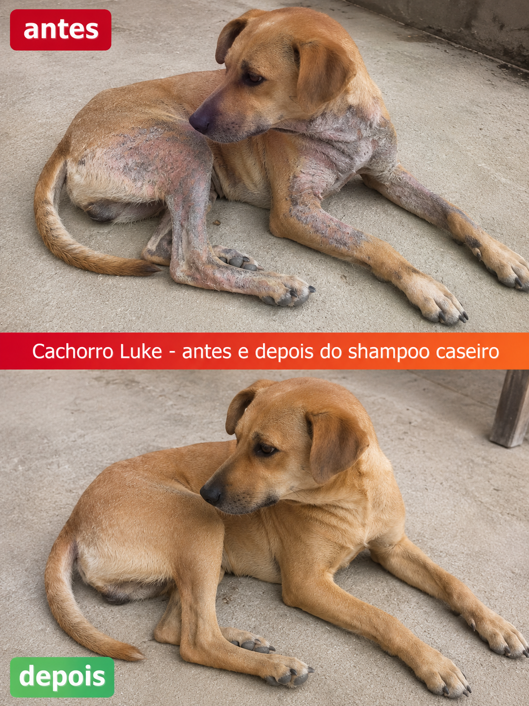 Antes y después